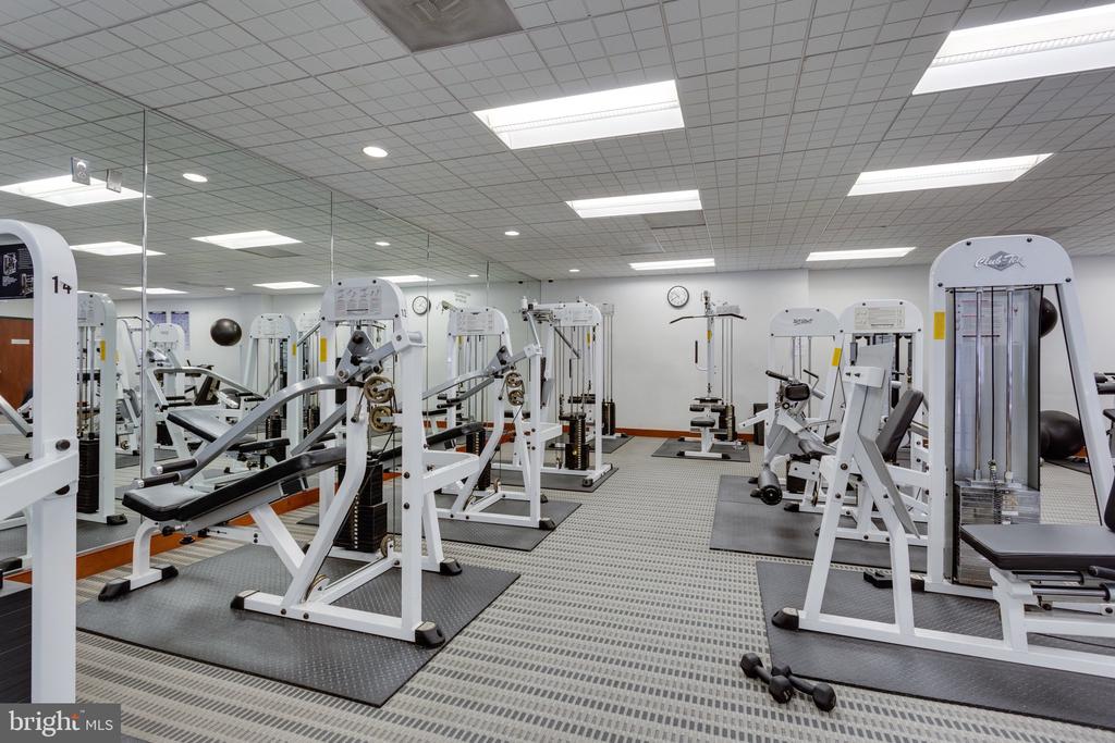309 YOAKUM PARKWAY Unit: 616