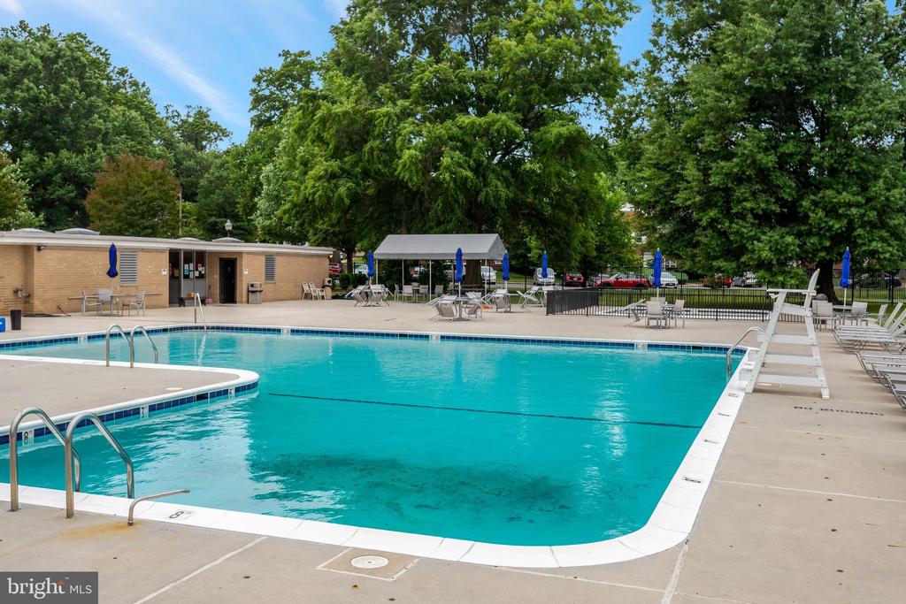 1225 MARTHA CUSTIS DRIVE Unit: 811