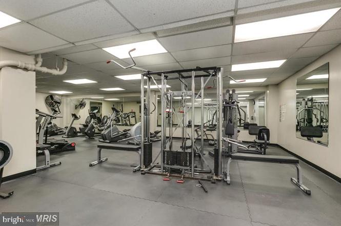 4600 DUKE STREET Unit: 1511