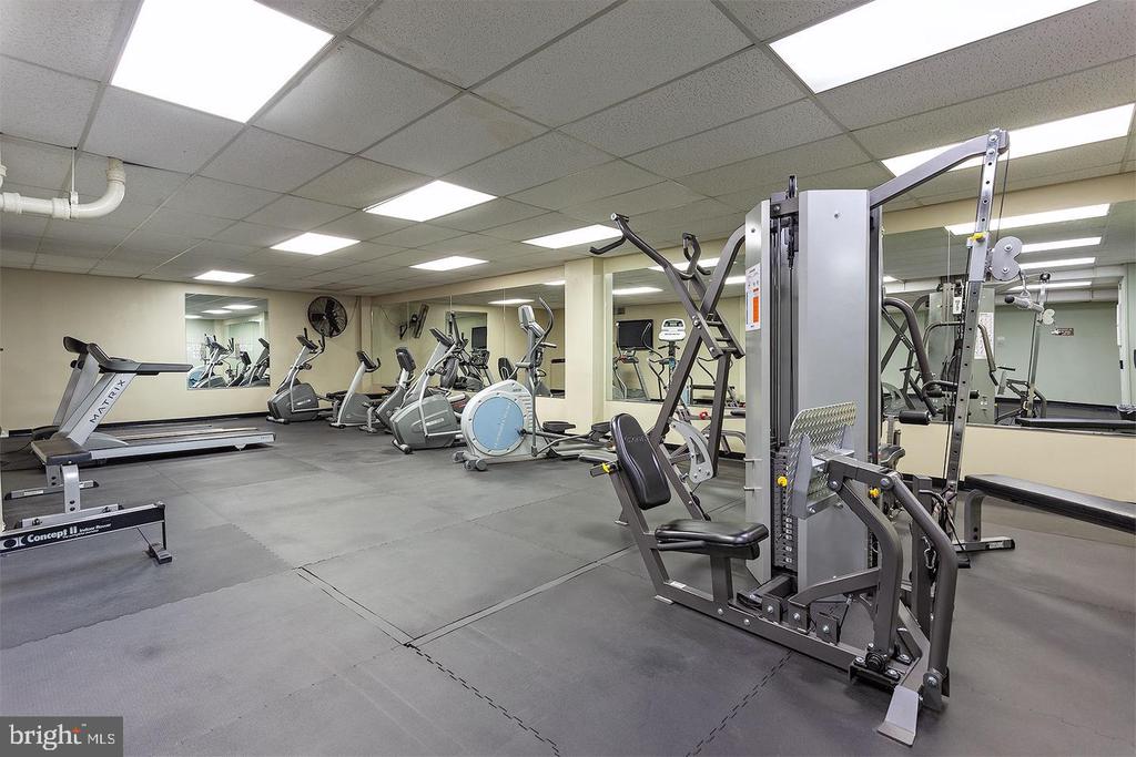 4600 DUKE STREET Unit: 1511