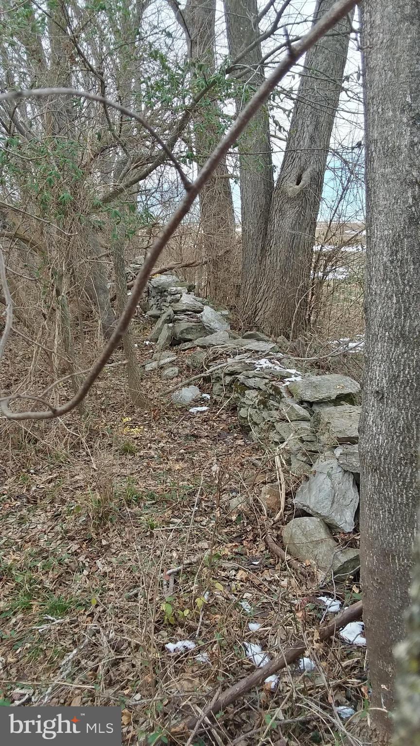 Trapp Hill