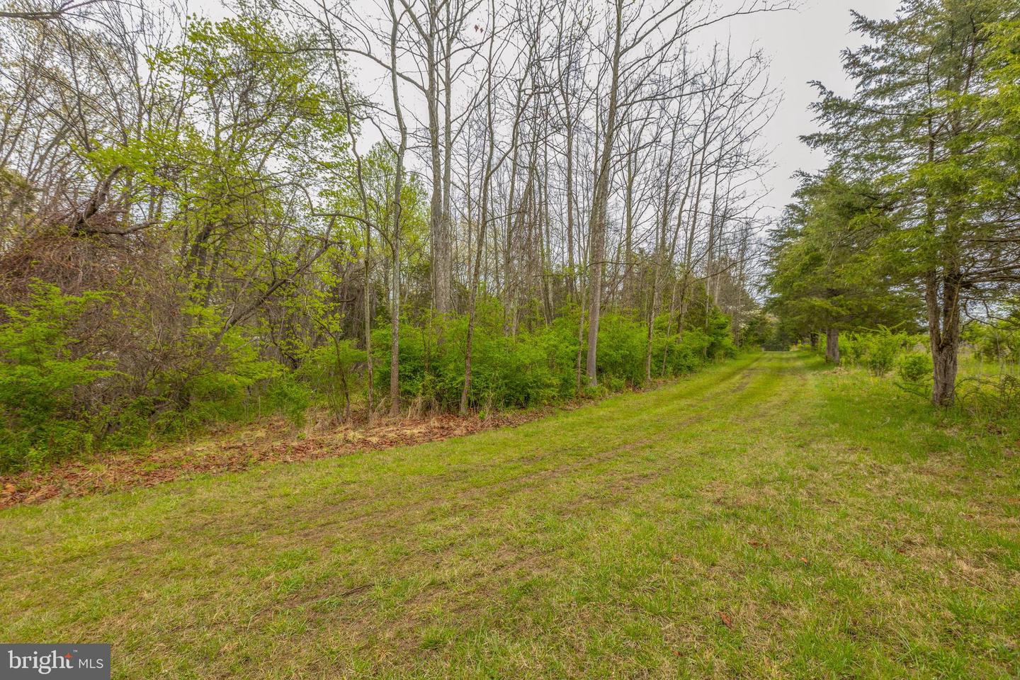 4034 Calmes Neck LANE