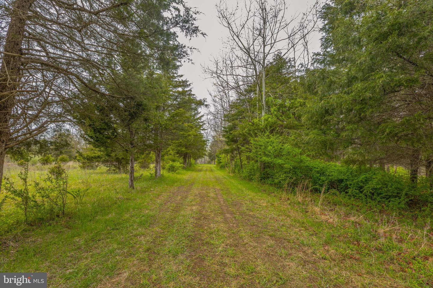 4034 Calmes Neck LANE