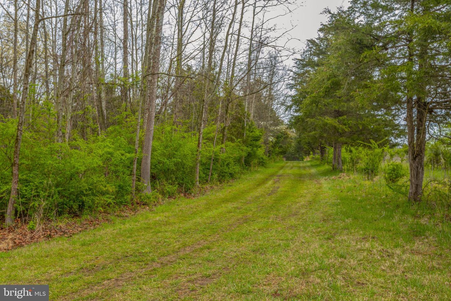 4034 Calmes Neck LANE