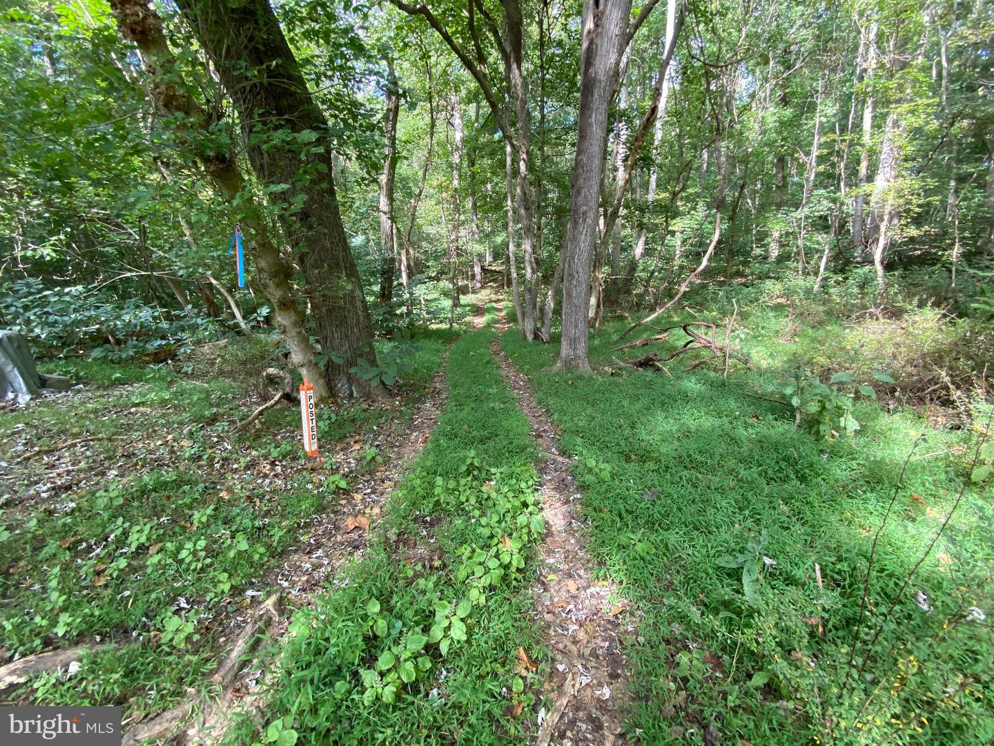 0 Cardinal Lane