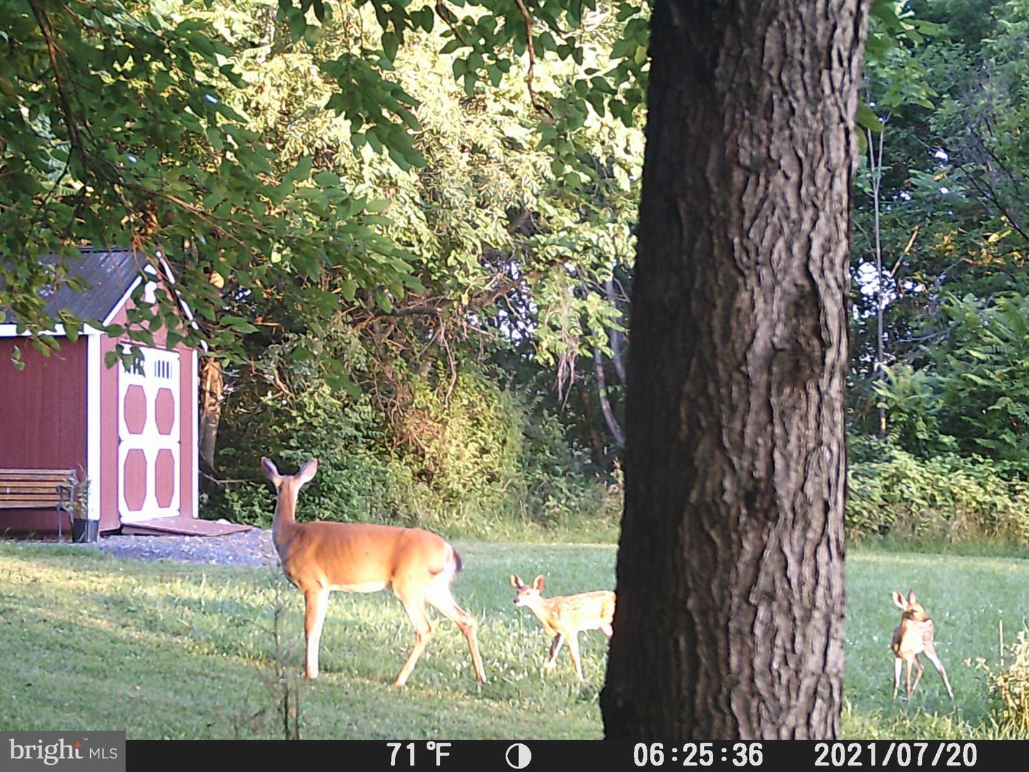 0 Broadview Lane