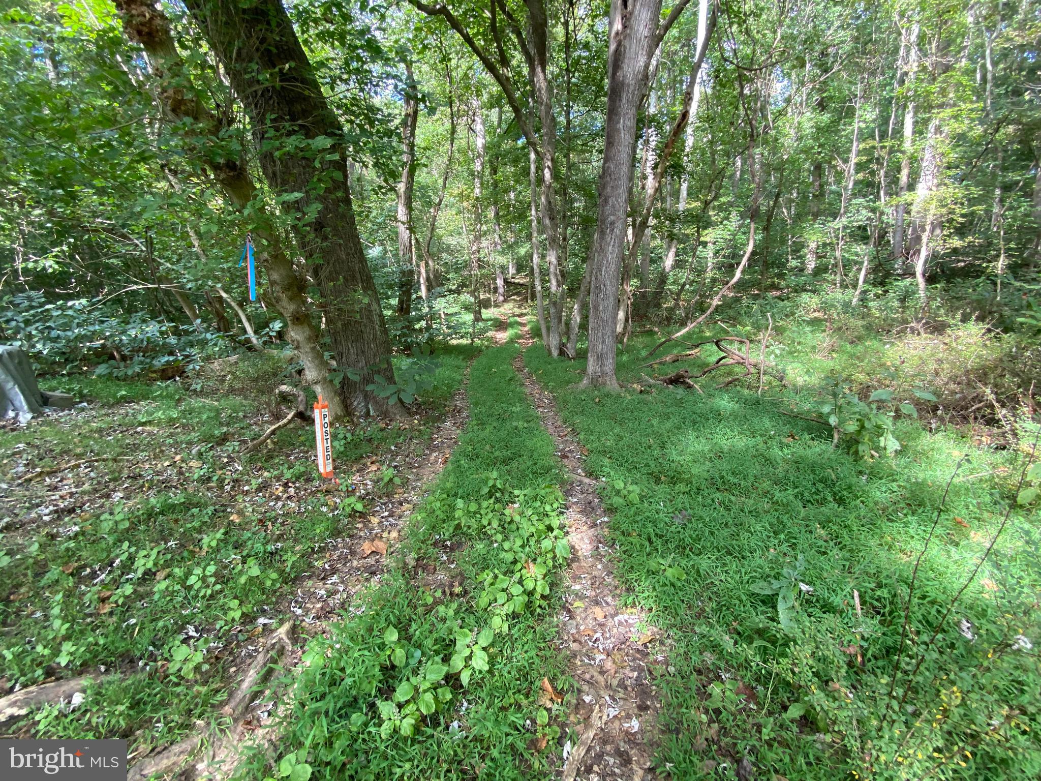 0 Cardinal Lane