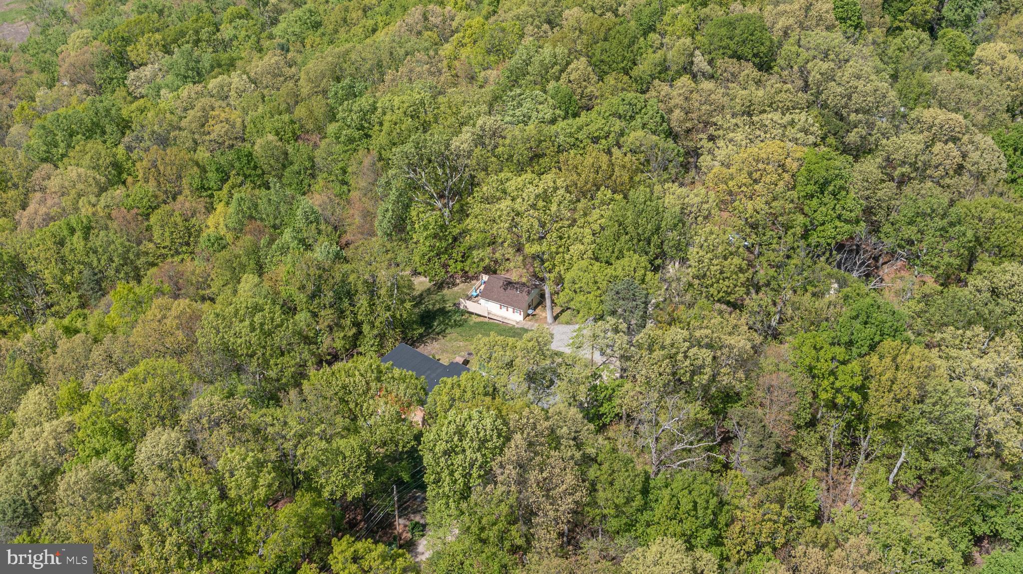 277 Pine Crest Ln