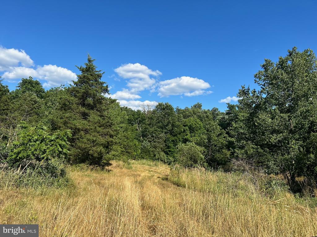 1190 Gun Barrel Rd