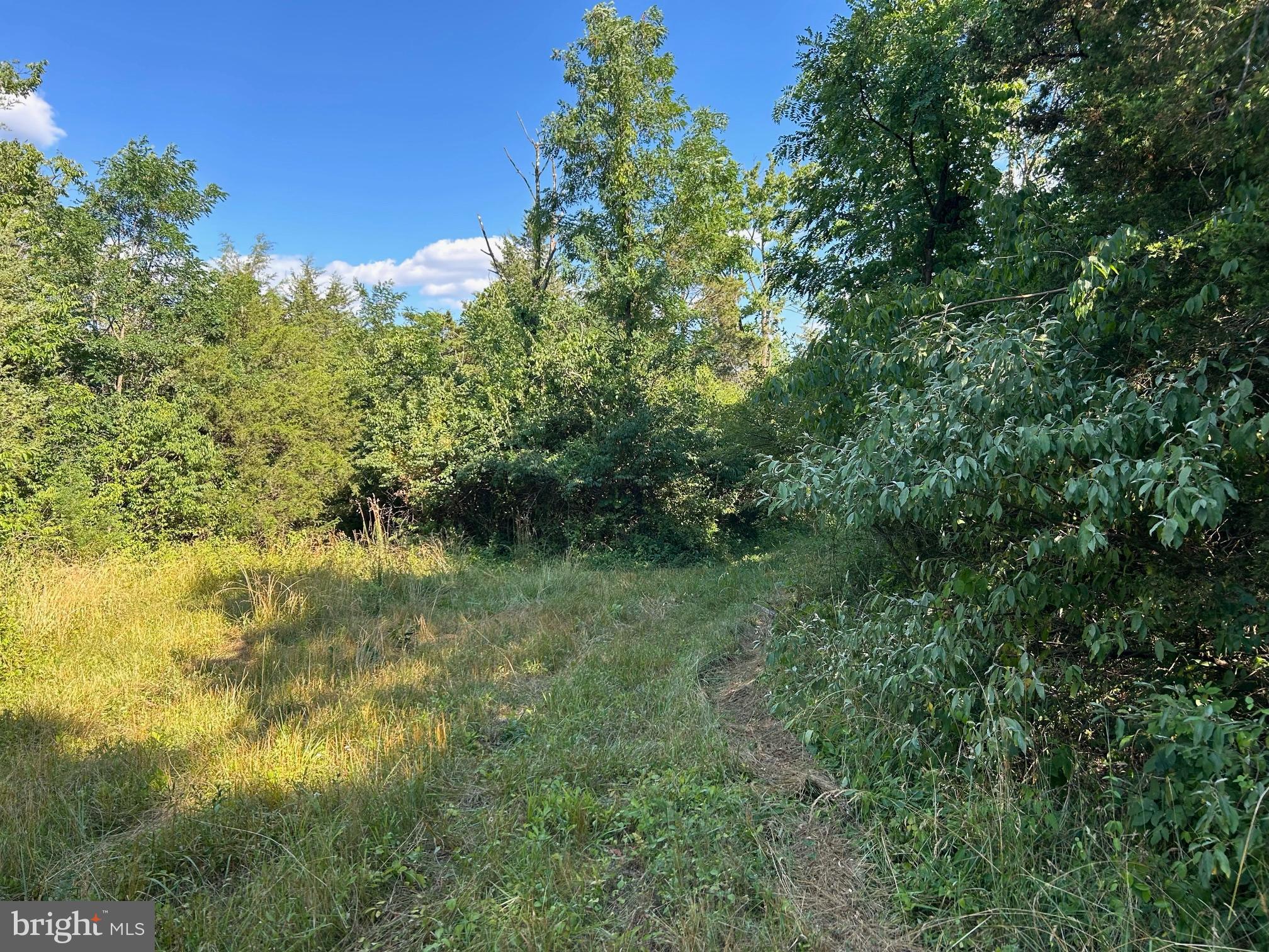 1190 Gun Barrel Rd