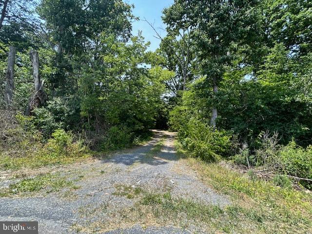 Gun Barrel Road
