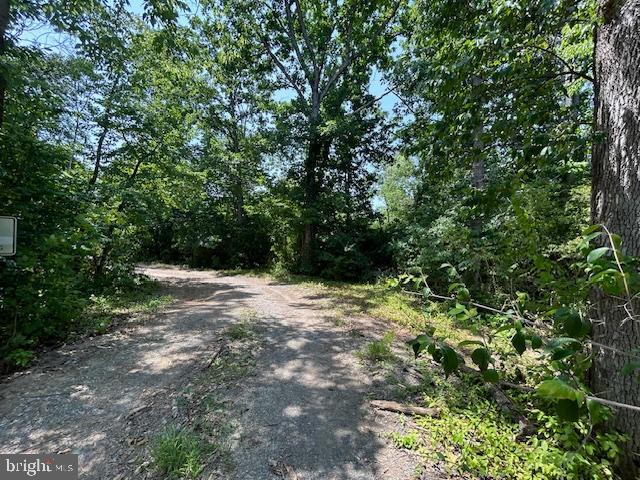 Gun Barrel Road