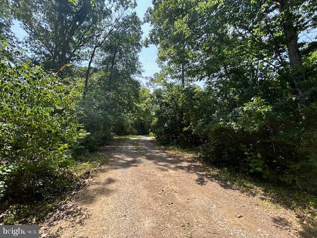 Gun Barrel Road