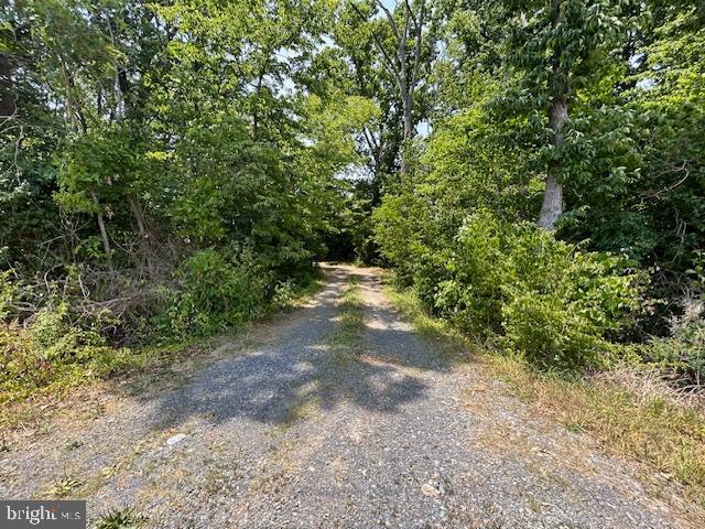 Gun Barrel Road