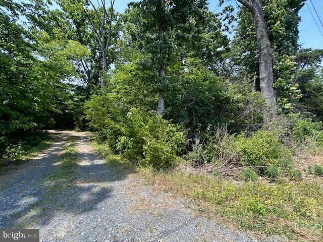Gun Barrel Road