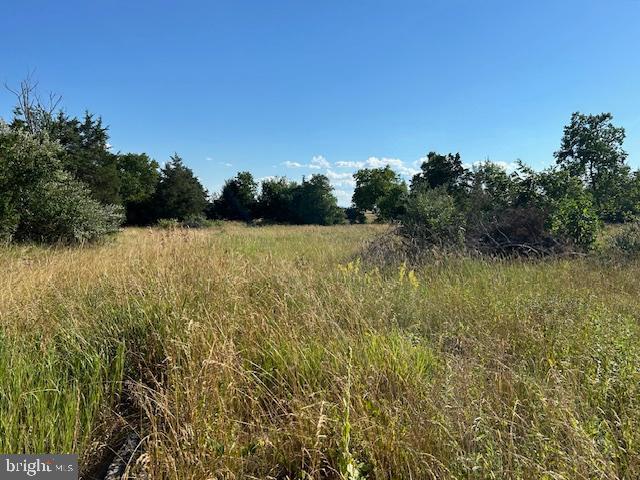 Gun Barrel Road