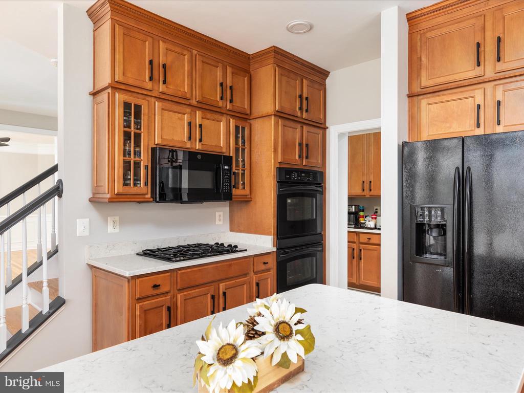504 Cobbler Dr