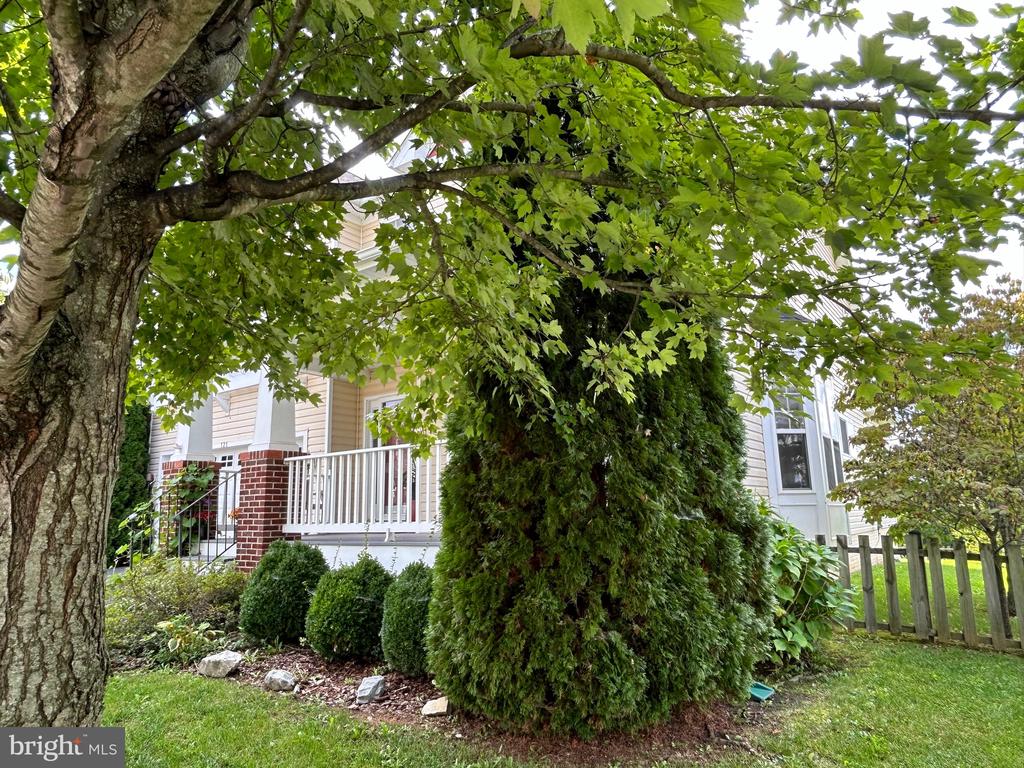 121 Roseville Ct