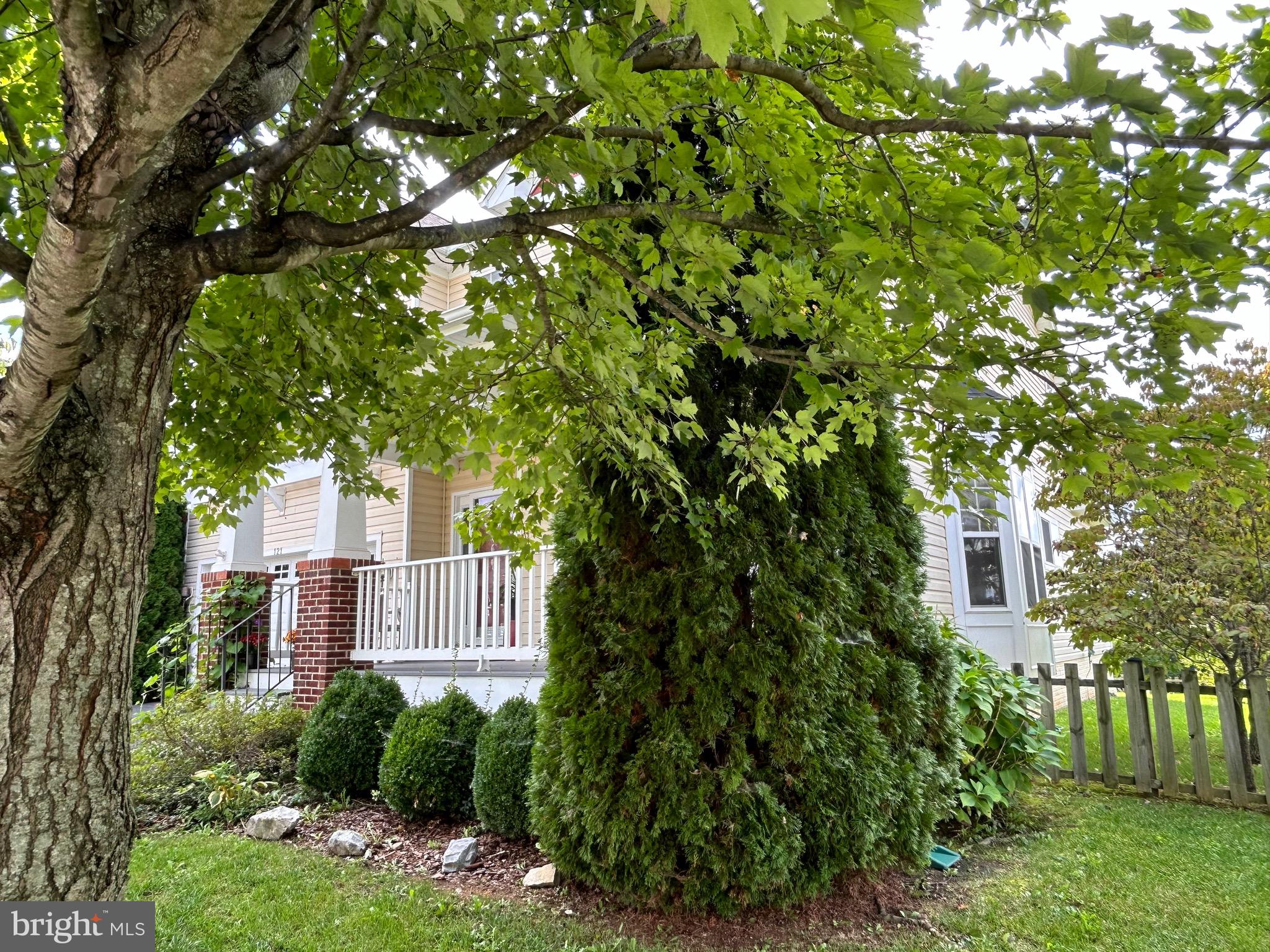 121 Roseville Ct