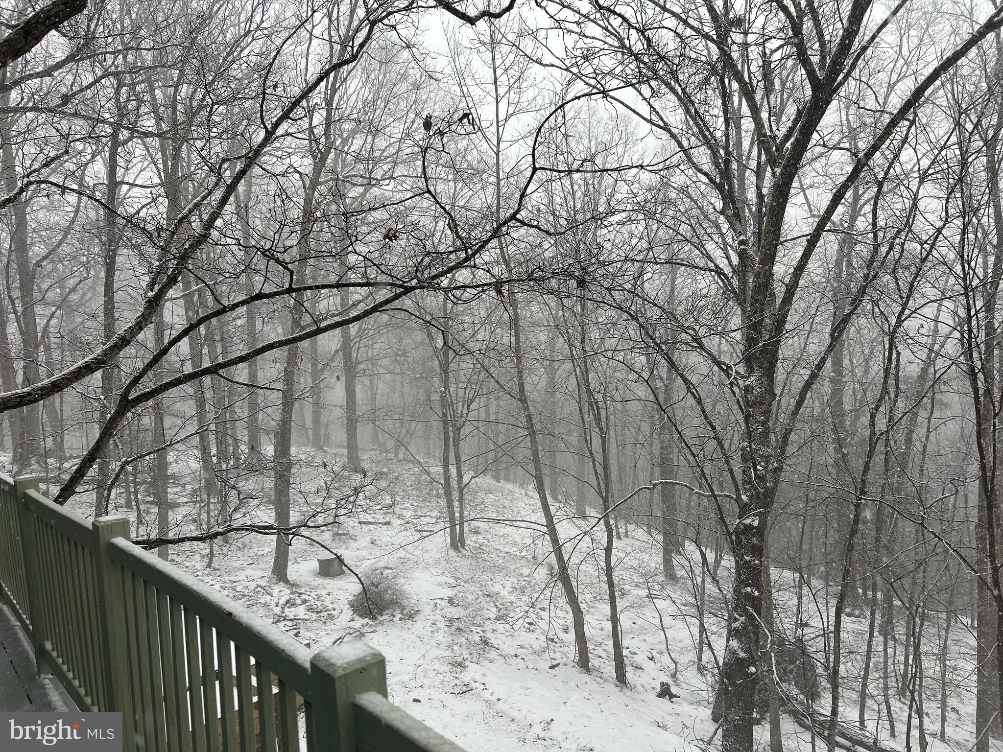 398 Timber Ln