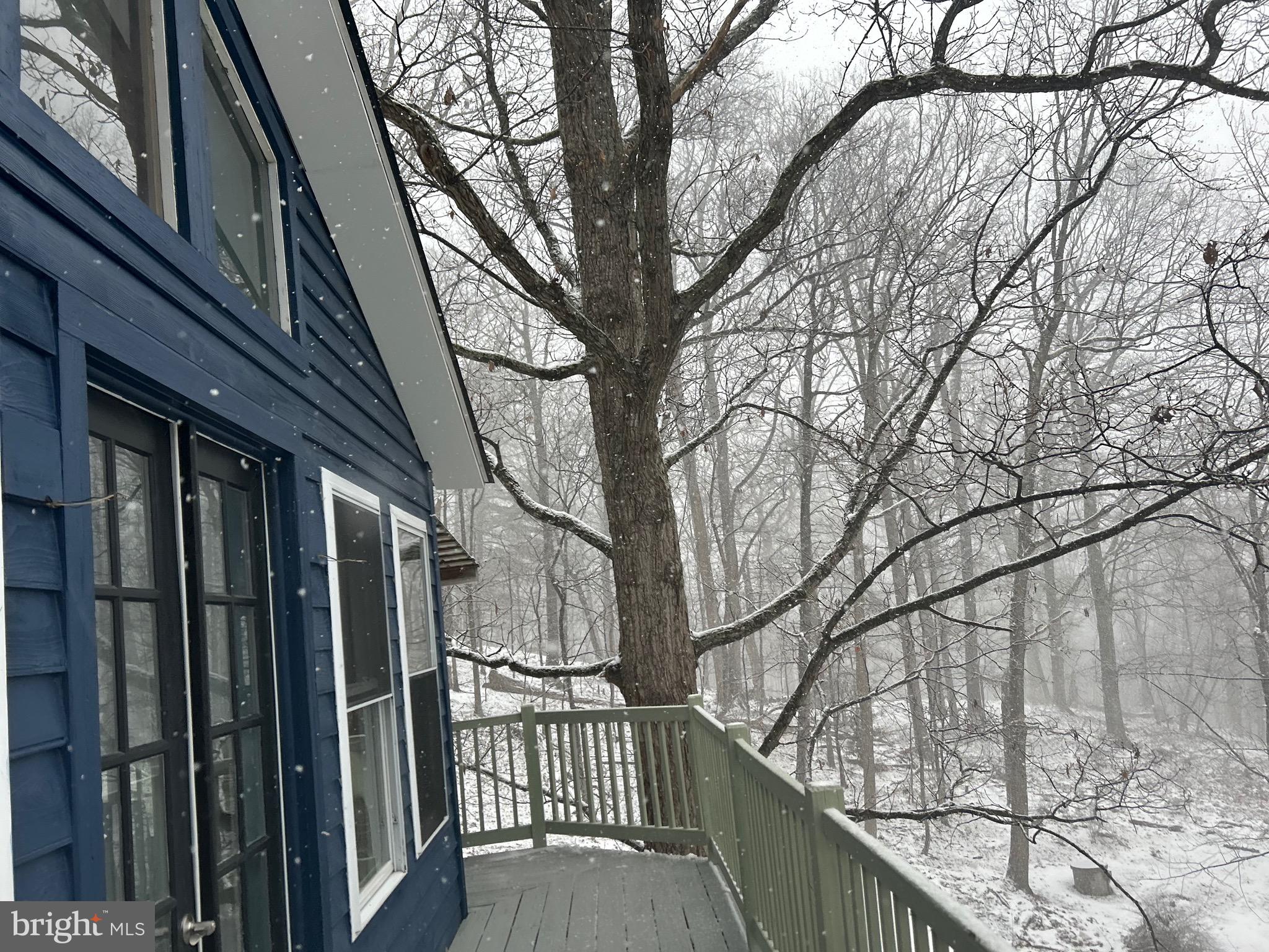398 Timber Ln