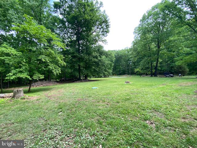 398 Timber Ln