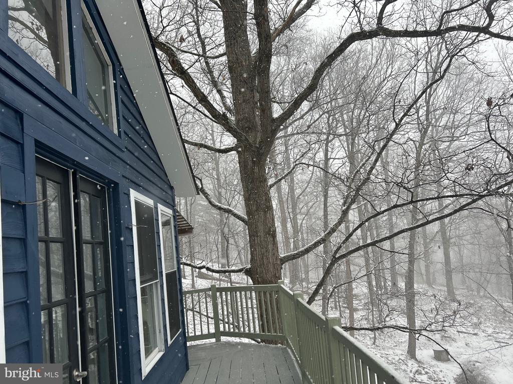 398 Timber Ln
