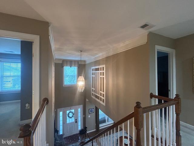 108 Roseville Ct