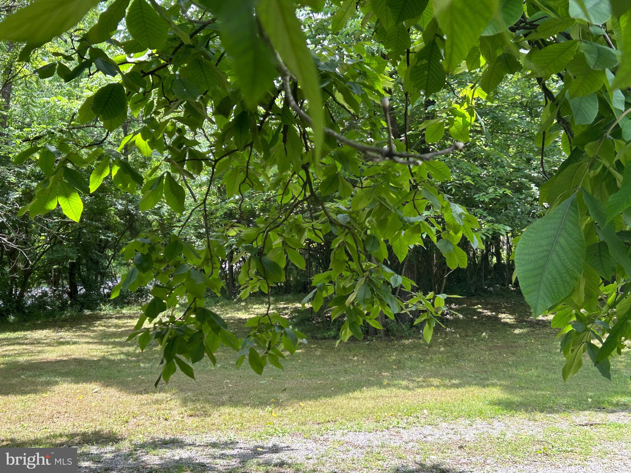 513 Russell Rd
