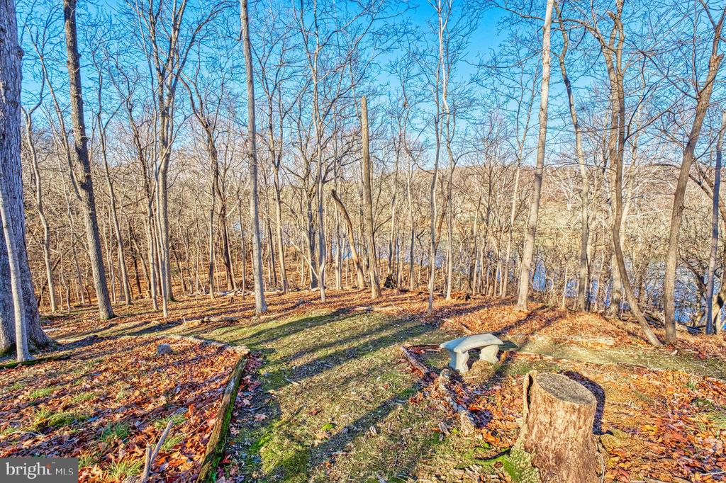 222 BARRED OWL LANE