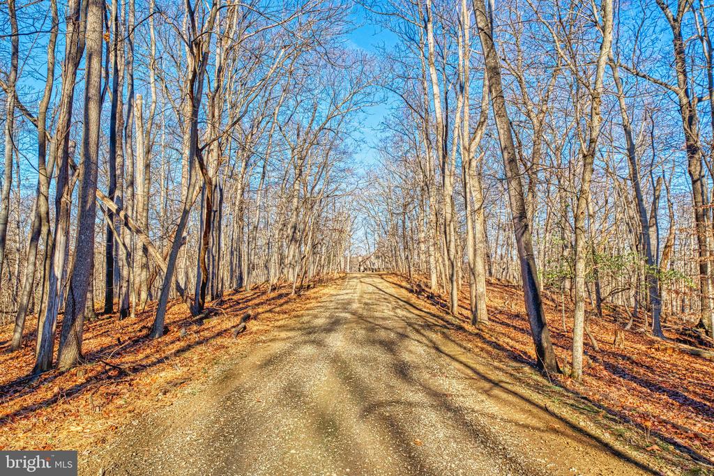 222 BARRED OWL LANE