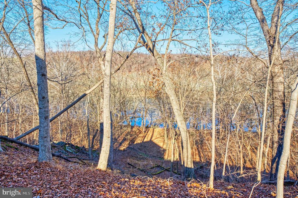 222 BARRED OWL LANE
