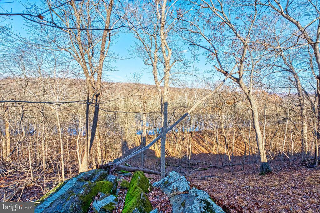 222 BARRED OWL LANE