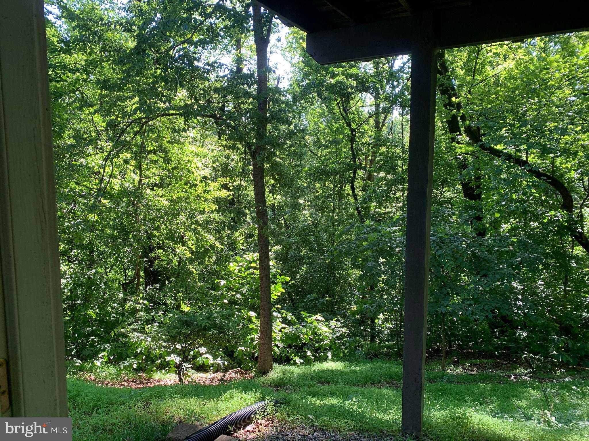 132 PINECREST LN