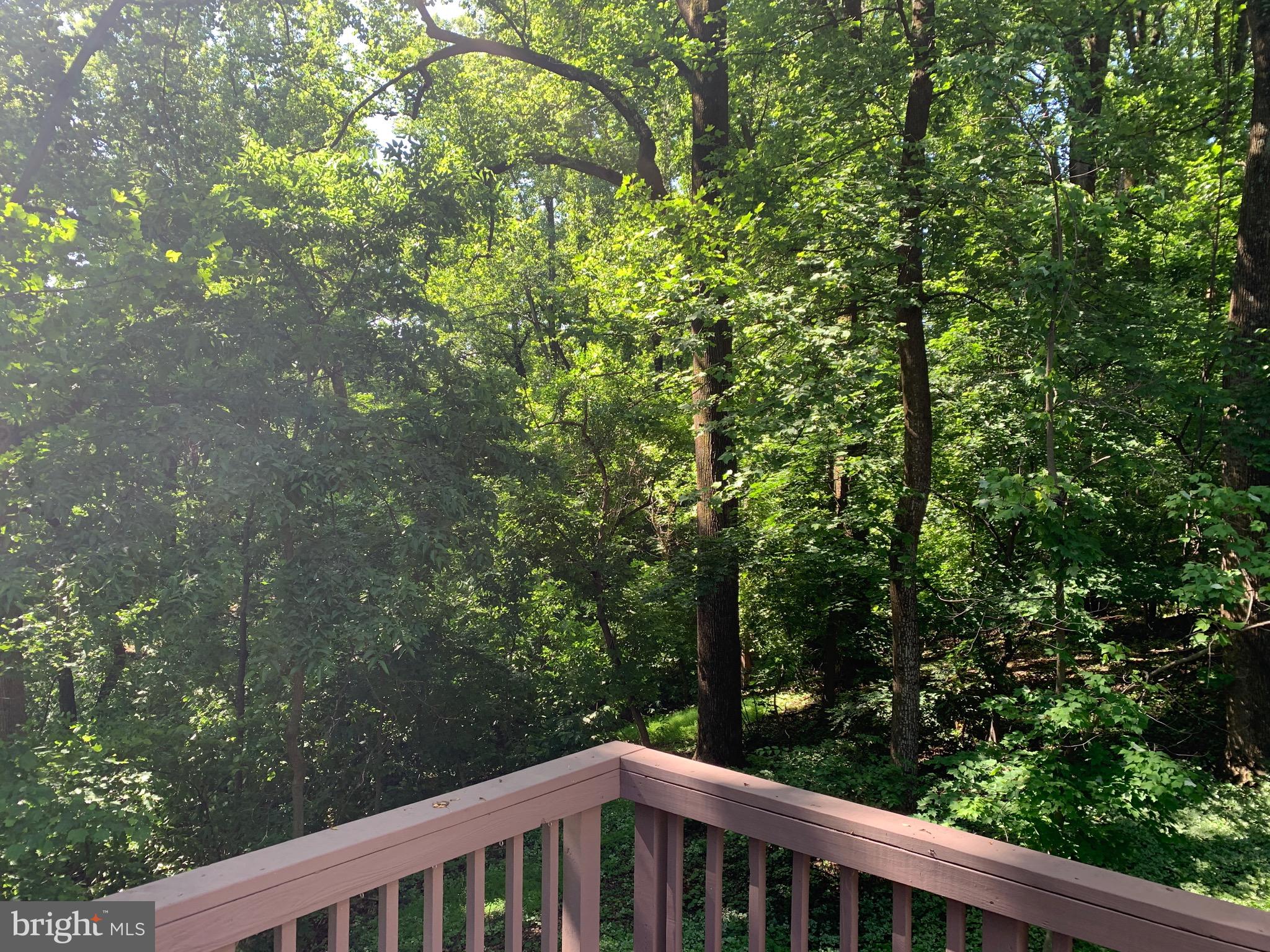 132 PINECREST LN