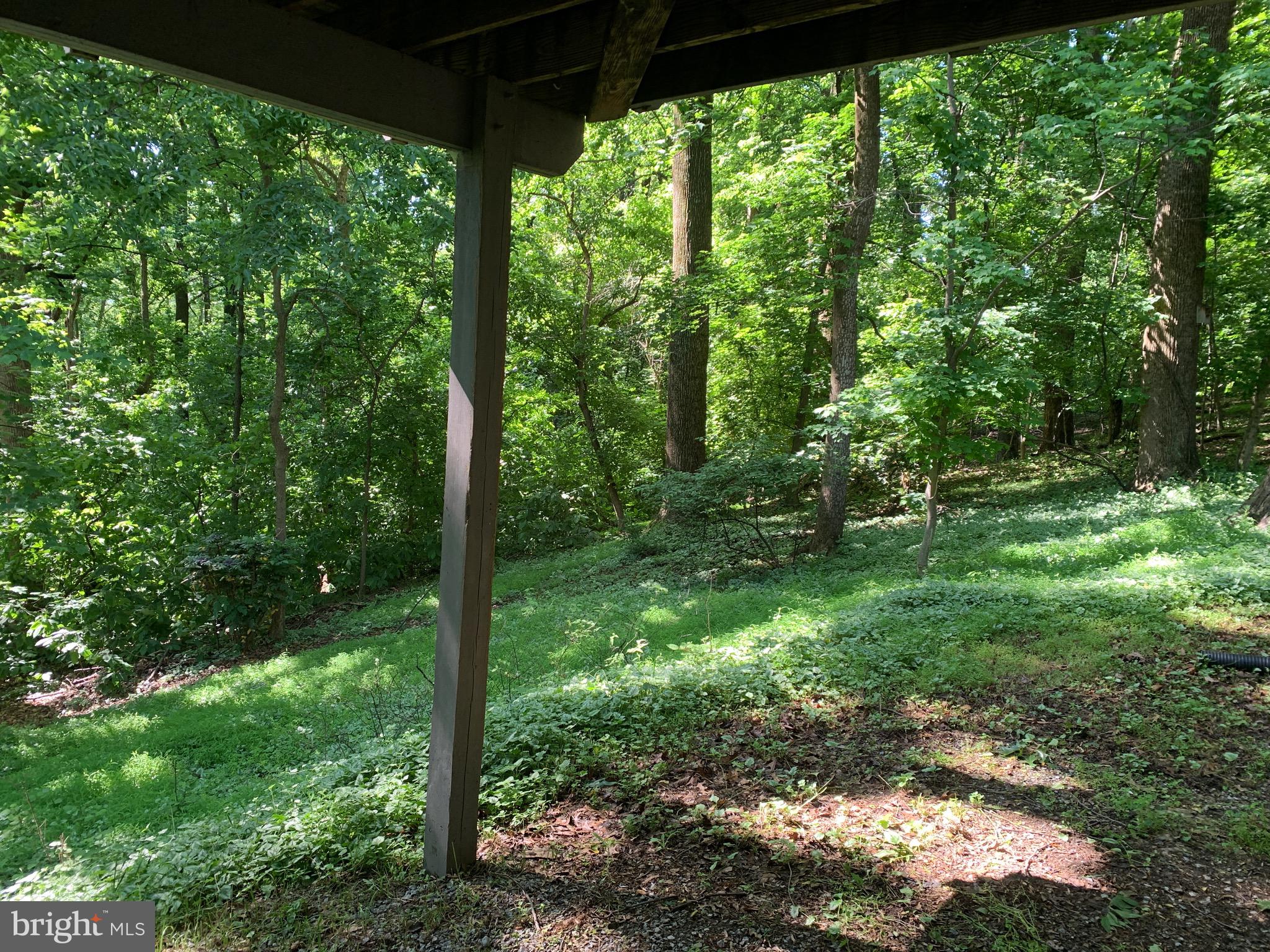 132 PINECREST LN