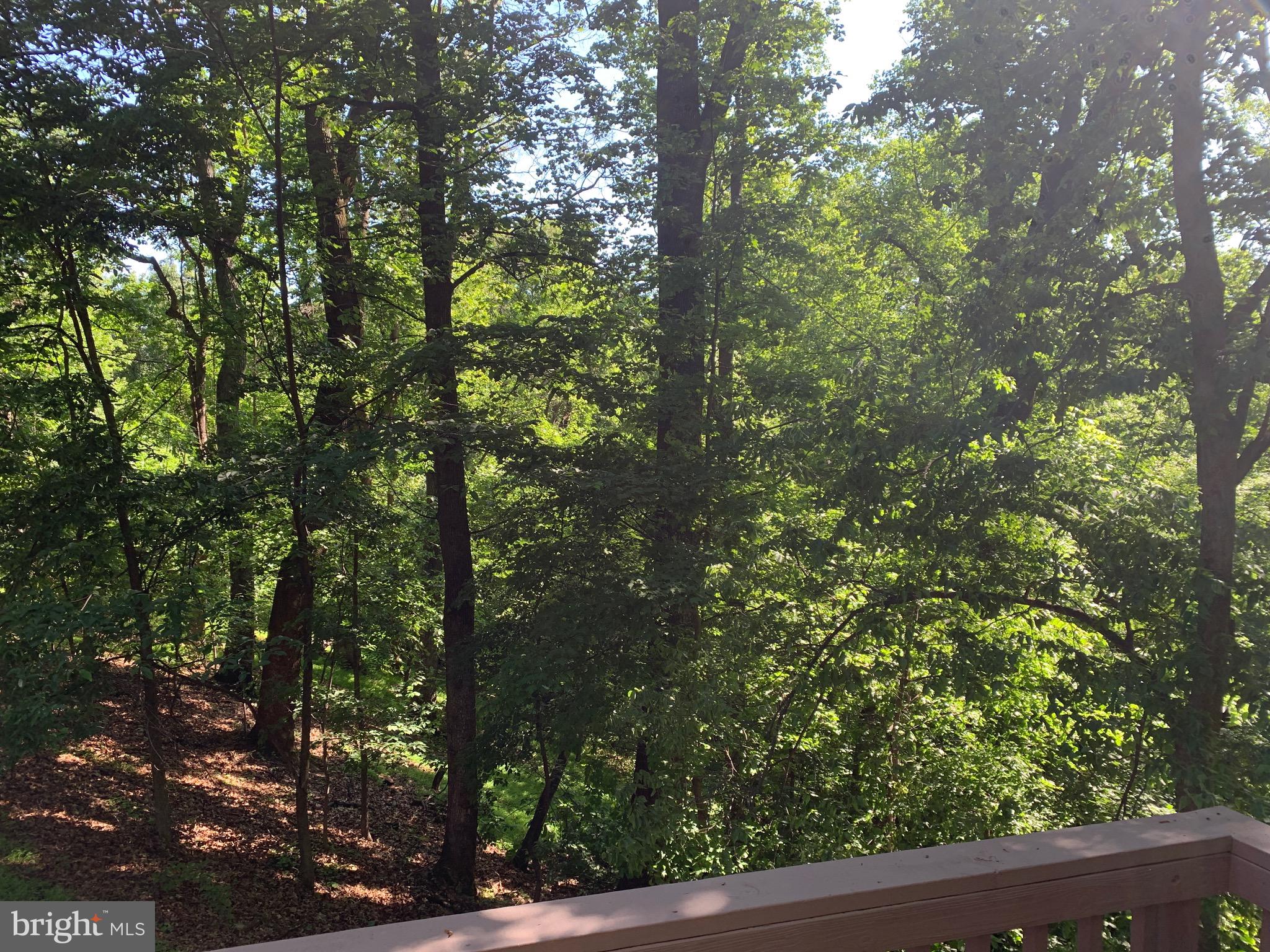 132 PINECREST LN
