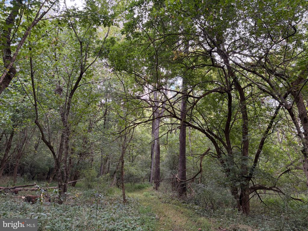 2983 OLD WINCHESTER ROAD