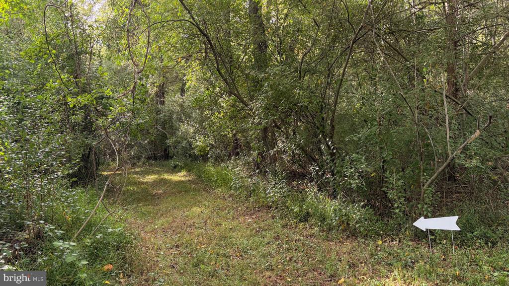 2983 OLD WINCHESTER ROAD