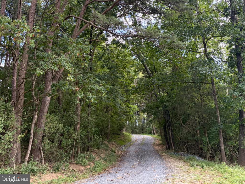 2983 OLD WINCHESTER ROAD