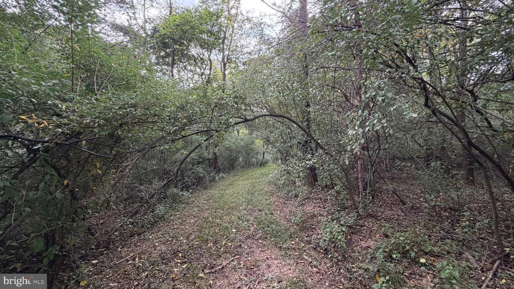 2983 OLD WINCHESTER ROAD