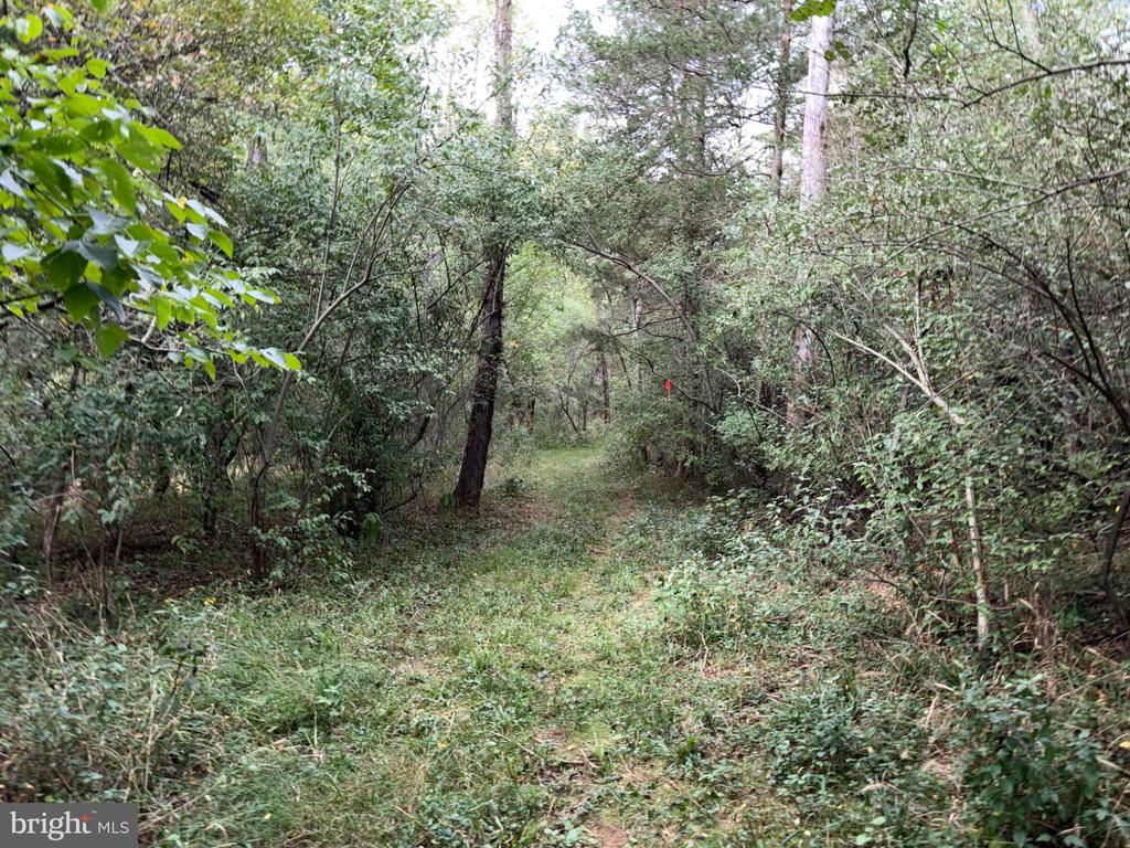 2983 OLD WINCHESTER ROAD