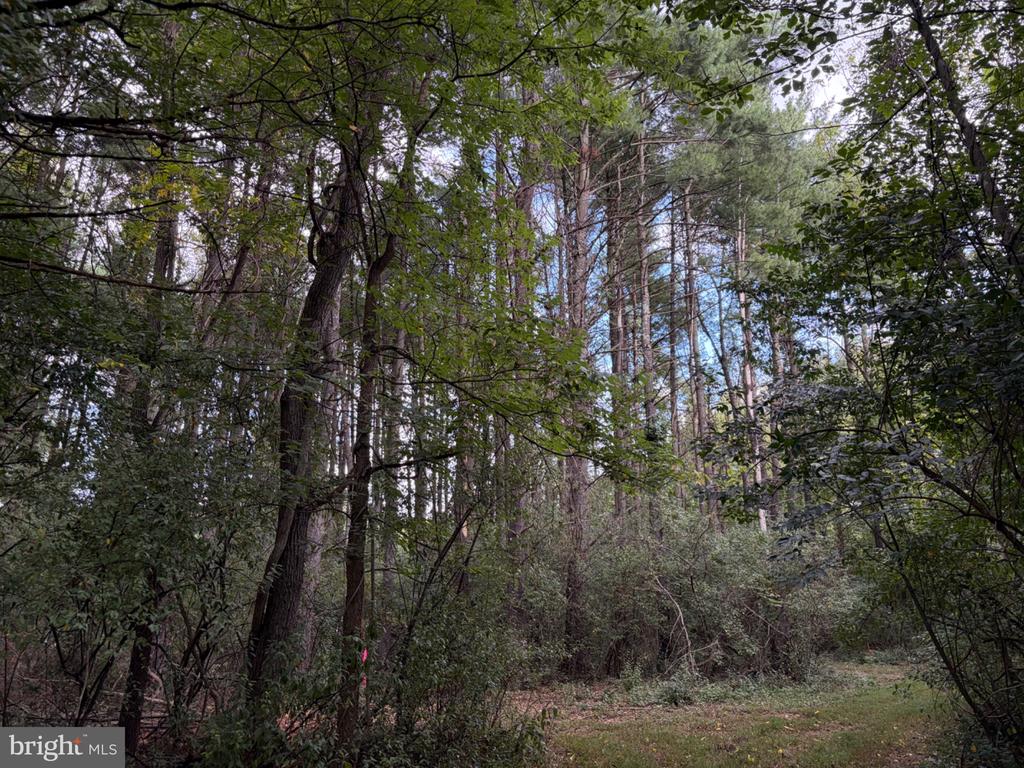 2983 OLD WINCHESTER ROAD