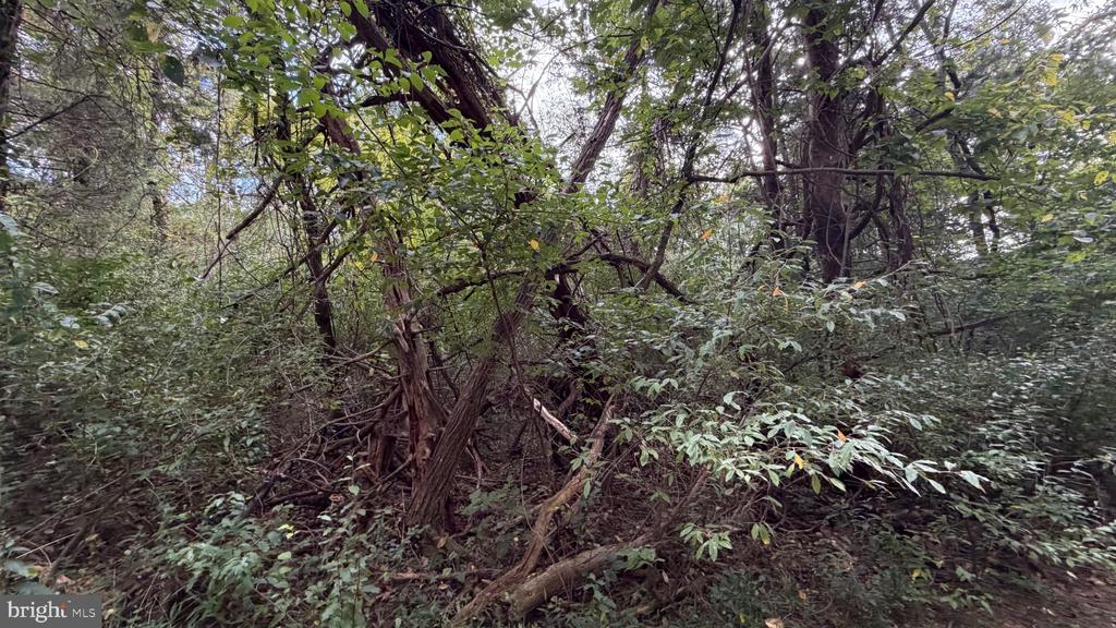 2983 OLD WINCHESTER ROAD