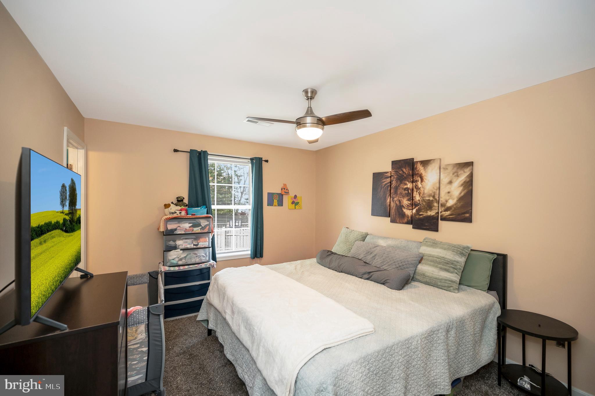 1617 Harrier Ln