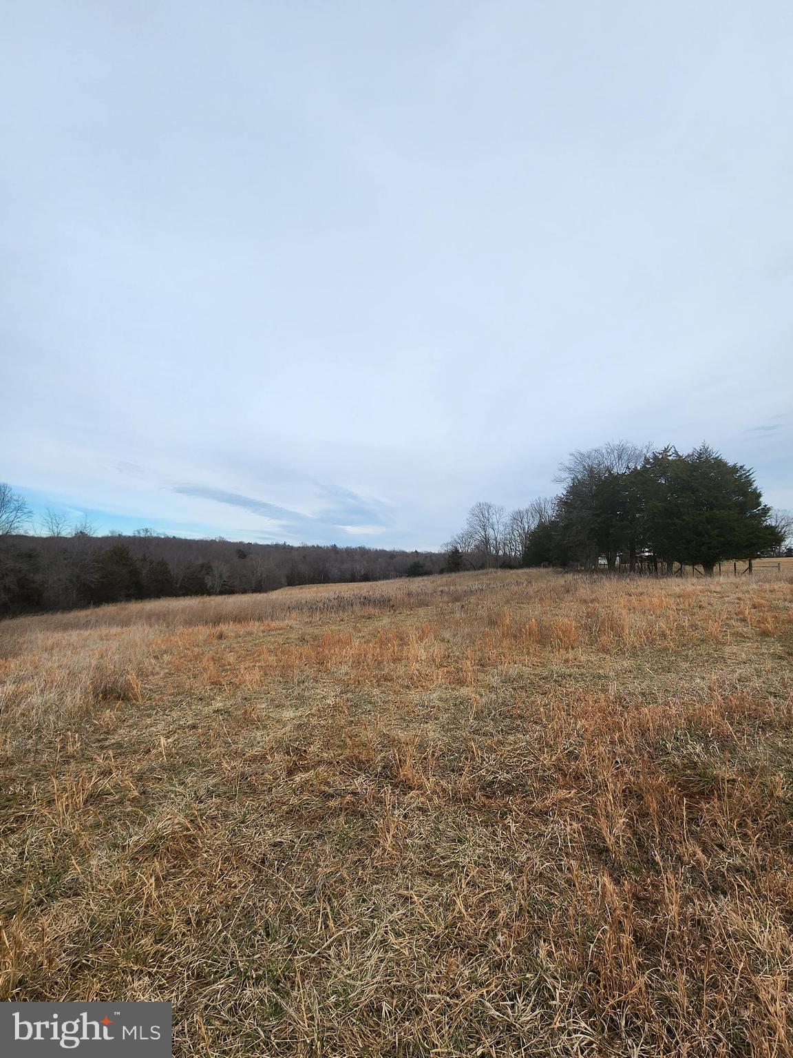 14485 WOODLAND CHURCH