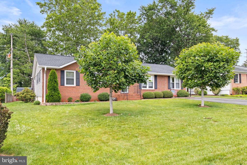 300 CHESTNUT DRIVE