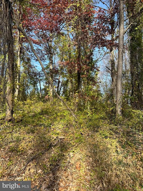 48-109 KIRTLEY TRAIL RD