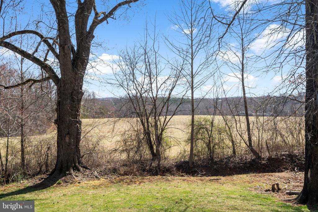 10384 JAMESONS MILL ROAD