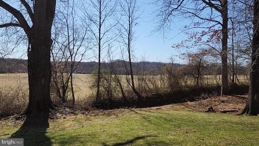 10384 JAMESONS MILL ROAD